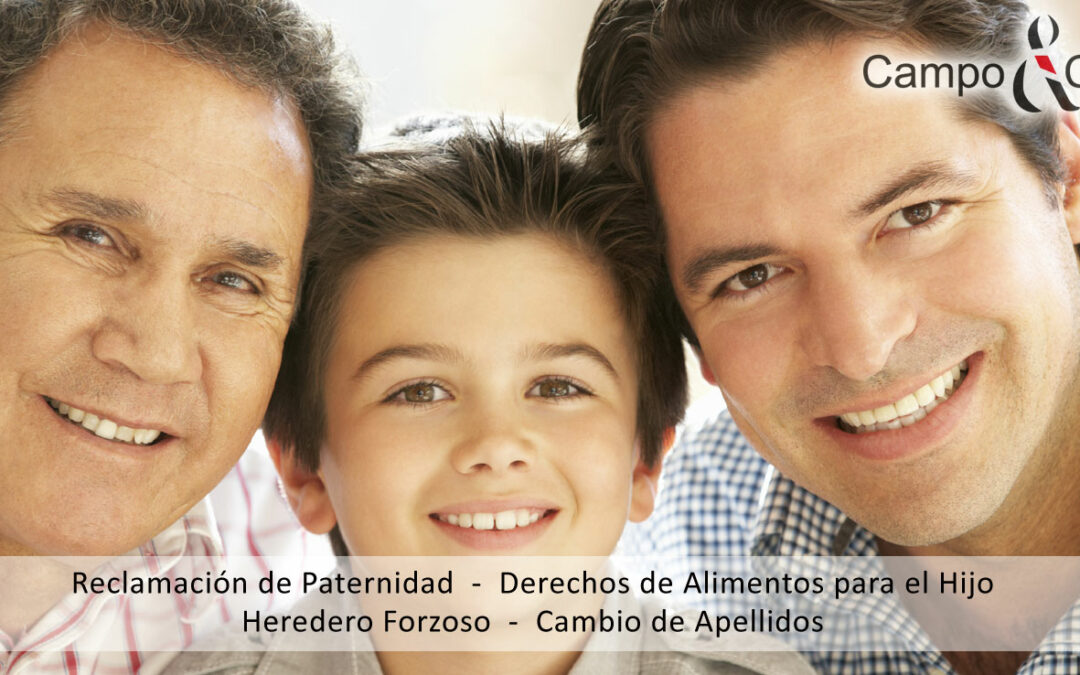reclamacion paternidad